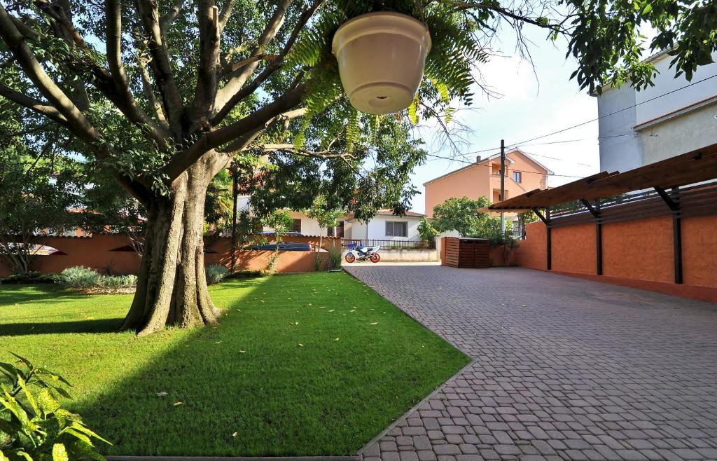 ביוגראד נה מורו Villa Maimare מראה חיצוני תמונה